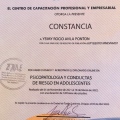 Ampliar imagen: certificate 11