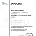 Ampliar imagen: certificate 18