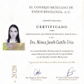 Ampliar imagen: certificate 2