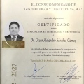 Ampliar imagen: certificate 5