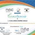 Ampliar imagen: certificate 3