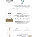 Ampliar imagen: certificate 1
