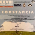 Ampliar imagen: certificate 10