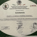 Ampliar imagen: certificate 7
