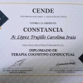 Ampliar imagen: certificate 6
