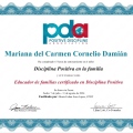 Ampliar imagen: certificate 1