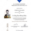 Ampliar imagen: certificate 2