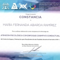 Ampliar imagen: certificate 8