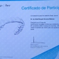 Ampliar imagen: certificate 8