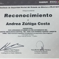 Ampliar imagen: certificate 15