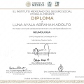 Ampliar imagen: certificate 1