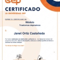 Ampliar imagen: certificate 11