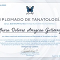 Ampliar imagen: certificate 3