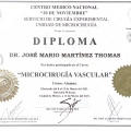 Ampliar imagen: certificate 2