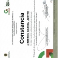Ampliar imagen: certificate 17