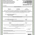 Ampliar imagen: certificate 2