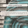 Ampliar imagen: certificate 5