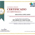 Ampliar imagen: certificate 23