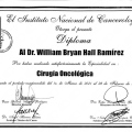 Ampliar imagen: certificate 2