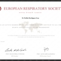 Ampliar imagen: certificate 4