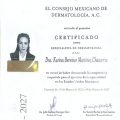 Ampliar imagen: certificate 6