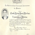 Ampliar imagen: certificate 3