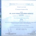 Ampliar imagen: certificate 9