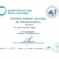 Ampliar imagen: certificate 11