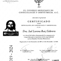 Ampliar imagen: certificate 1