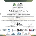 Ampliar imagen: certificate 2