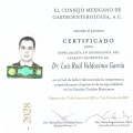 Ampliar imagen: certificate 6