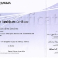 Ampliar imagen: certificate 5