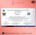 Ampliar imagen: certificate 3