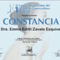 Ampliar imagen: certificate 5