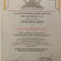 Ampliar imagen: certificate 4