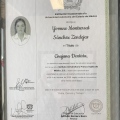 Ampliar imagen: certificate 3