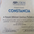 Ampliar imagen: certificate 12