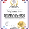 Ampliar imagen: certificate 3