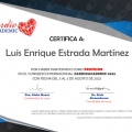 Ampliar imagen: certificate 10
