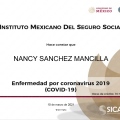Ampliar imagen: certificate 7