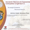 Ampliar imagen: certificate 3