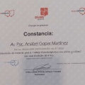 Ampliar imagen: certificate 4