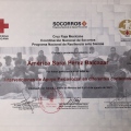 Ampliar imagen: certificate 16