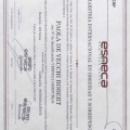 Ampliar imagen: certificate 2