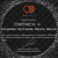 Ampliar imagen: certificate 20