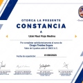 Ampliar imagen: certificate 11