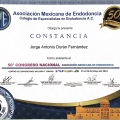 Ampliar imagen: certificate 6