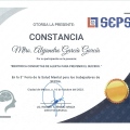 Ampliar imagen: certificate 45