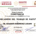 Ampliar imagen: certificate 7