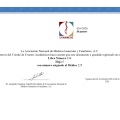 Ampliar imagen: certificate 11